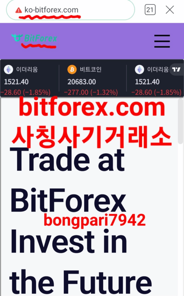 비트포렉스 사칭