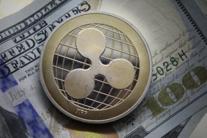 XRP 3만 9,624% 급등 역사…10년 후 목표는 1,000달러?