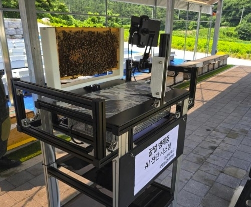 AI가 지킨다…국산 ‘비전(BeeSion)’, 꿀벌 질병 30초 만에 진단