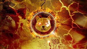 시바이누(SHIB) 3조개 “셀프 커스터디 지갑으로 이전”…일일 소각률도 급증, 공급량 급감이 시세에 어떤 영향을?