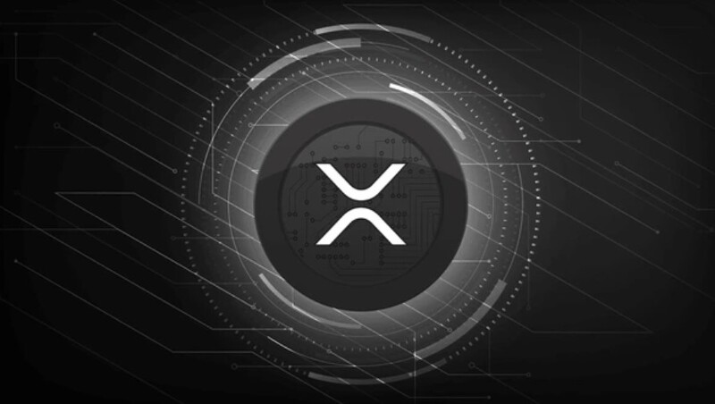 XRP, 3달러 무너졌다…5달러 향한 꿈은 여전