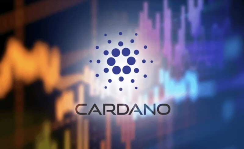 "투매에도 고래는 샀다"…카르다노 반등 본격화