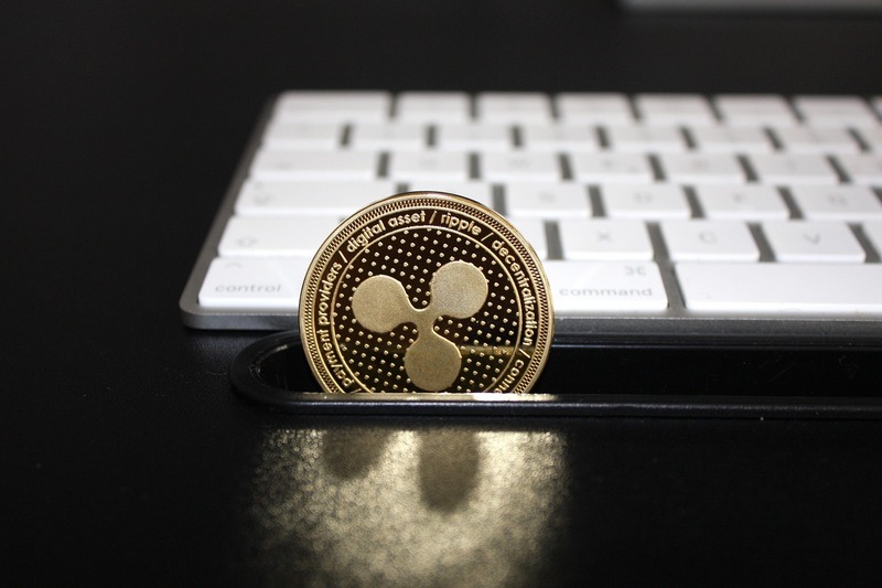 단숨에 25% 상승…유명 애널리스트 "XRP 방향성, 8월 말 결정될 것"