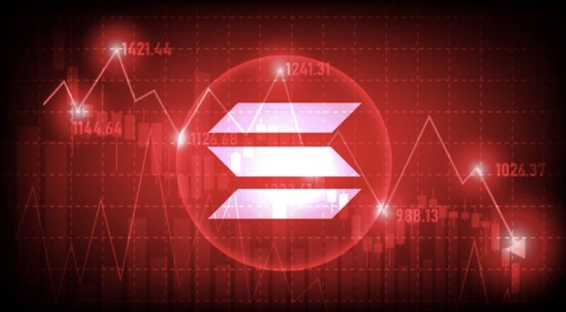 솔라나, 장기 보유자도 던졌다…195달러까지 추락 경고