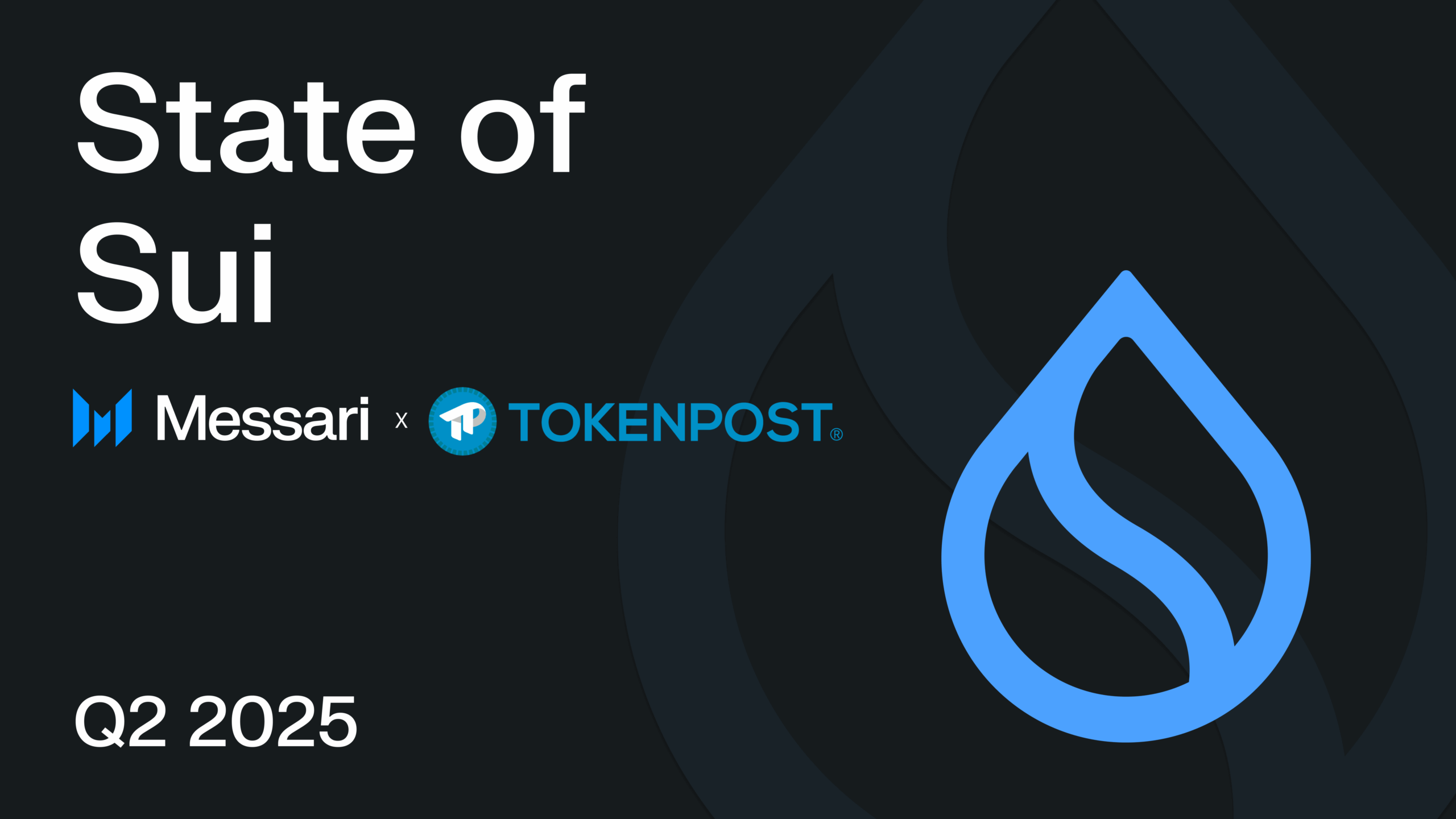 수이, 기술·재무 전방위 성장…’탈중앙화 선도 블록체인’ 도약 신호탄