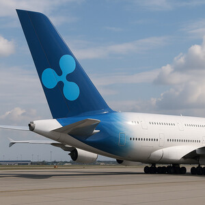 리플(XRP) 온체인 데이터 “실사용이 가격 버팀목”… 비트코인·이더리움 시그널은?