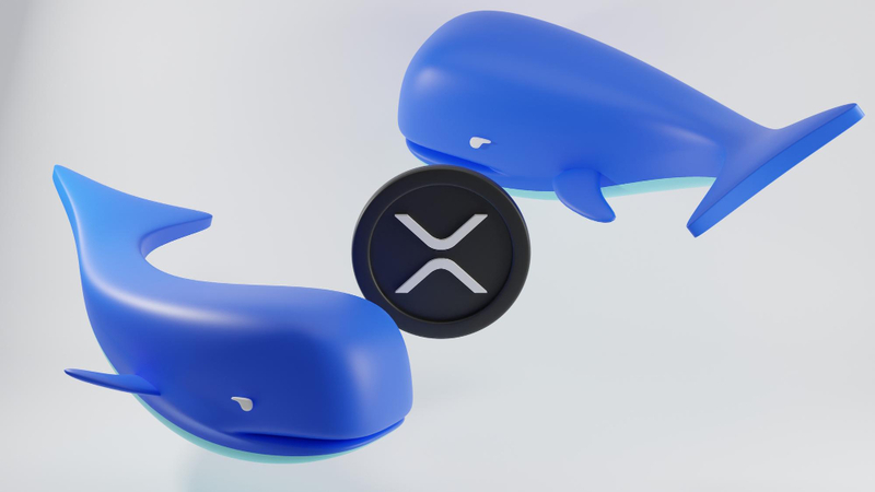 XRP 고래 보유량, 34개월 최저치…단기 하락세 시작됐나?