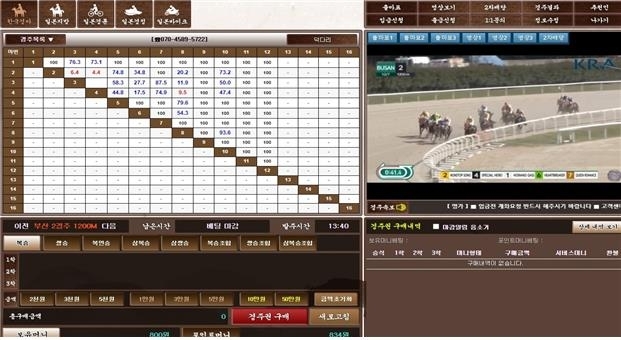 심의 마비 4개월…불법 도박·성범죄물 12만 건 방치됐다