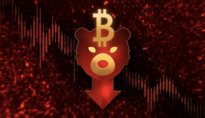 약세장 신호 켜졌는데도…비트코인 죽었다는 말만 ‘사라졌다’