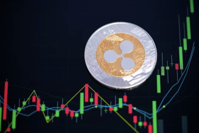 비트코인 초기 투자자 "XRP, 가문 은퇴 자산 될 수 있어"