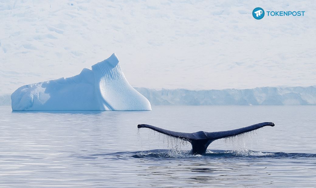 [사설] 비트코인의 ‘유동성의 역설’…돈이 커질수록 열기는 식는다