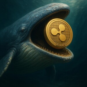 리플(XRP), ETF 상장 본격화…21셰어스·프랭클린템플턴·캐너리 등 잇단 움직임