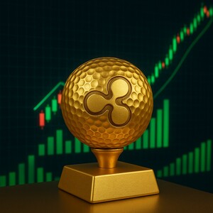 리플(엑스알피) ETF 상장 임박?…“5개 현물 ETF, DTCC 웹사이트에 등록”