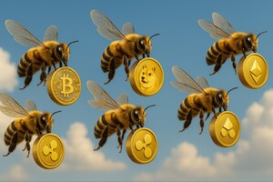 [속보] 암호화폐 시장 일제히 하락…비트코인·리플·도지코인·스텔라루멘 등 시세 풀썩