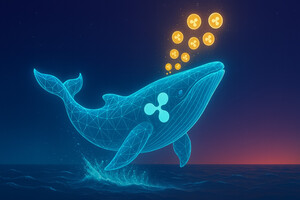 남아공 중앙은행, 암호화폐 리스크 지적…리플XRP ETF 유입은 지속?