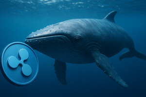 ETF가 받쳐도 약세는 이어져…리플XRP 방향성 시험대?