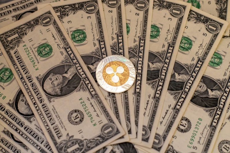 파사이드  "우린 XRP 데이터 안 다룬다"…왜?