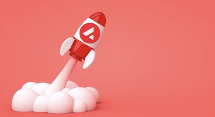 고래들이 먼저 움직였다…아발란체, 조용한 축적 뒤 폭발 오나