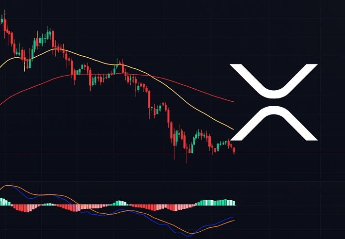 XRP, 2025년 -8% 굴욕 딛고 554% 폭등?…2027년 목표가 ‘12.5달러’