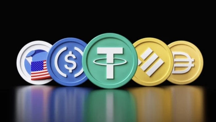 은행 자리 넘보는 스테이블코인 기업들…레인, 2.5억 달러 투자 유치