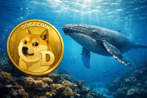 도지코인(DOGE), 시세 0.14달러 지지선 반등 후 고래 매집…0.20달러 갈까?