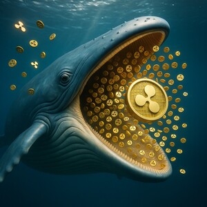 리플(XRP), 고래 움직임 멈췄지만 시세는 하락…바이낸스 활동 2021년 이후 최저