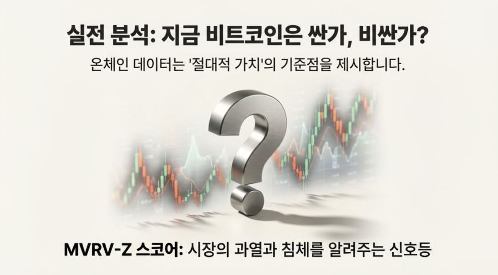 [TP아카데미②] “지금 사도 될까?”… 차트는 속여도 ‘온체인’은 거짓말을 하지 않는다