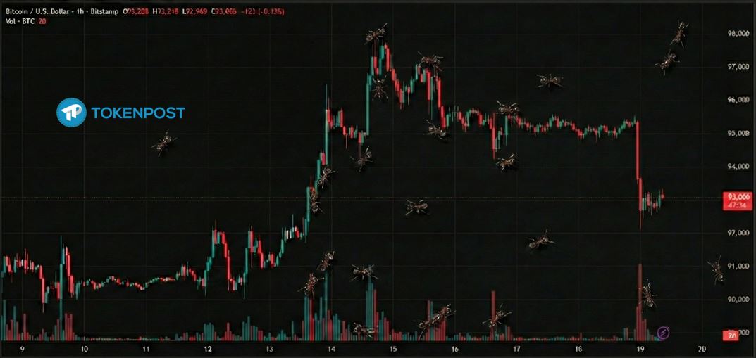 [토큰포스트 칼럼] 비트코인이 조용했던 주말… 시장의 운전대는 이미 ‘기관’으로 넘어갔다