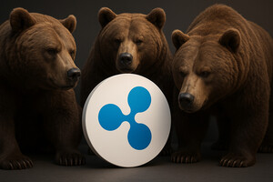 리플(XRP) 매집 기업들 평가…암호화폐 조정 영향