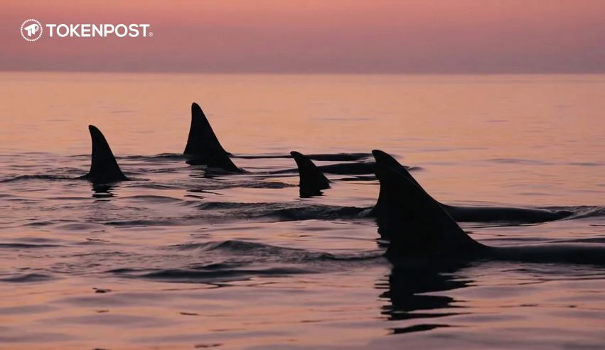 [사설] 비트코인 변동성 속에서 드러난 자본의 계산법
