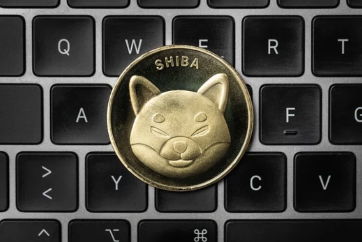 시바이누, 운명의 지지선 테스트 돌입…하락장 서막인가 반등의 기회인가?