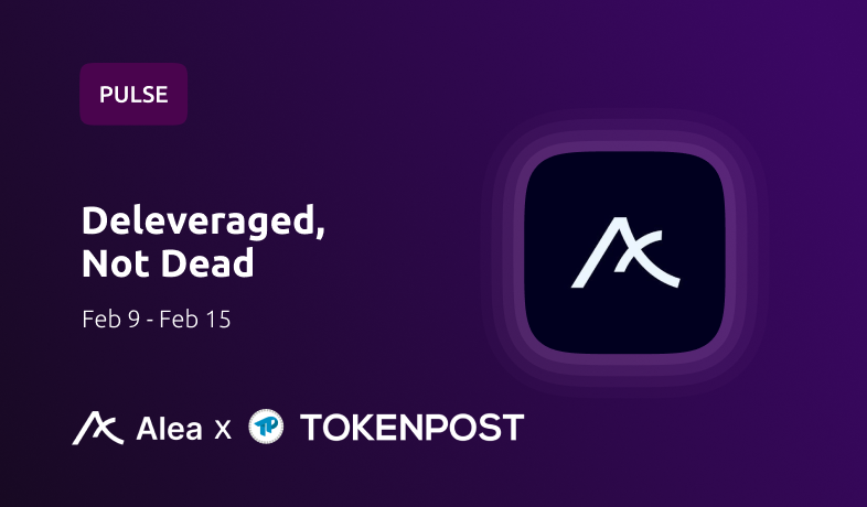 알레아 리서치, 불안정한 암호화폐 시장에서의 위험 관리 전략 제시