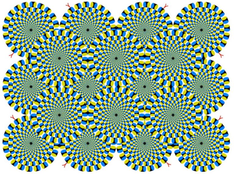 [사설] 암호화폐 시장의 집단 환상: 우리는 진짜 현실을 보고 있는가?