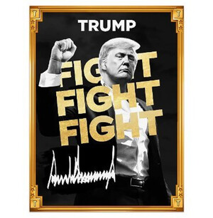 오피셜트럼프(TRUMP) 시세 한때 급등…“마러라고 행사 기대감에 매수세 몰려”