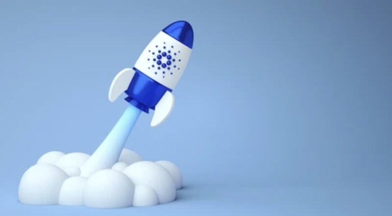 고래들이 2억 3000만 개 쓸어 담은 에이다, 2주 하락장 끝내고 찐반등할까