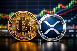 “비트코인(BTC) 승리” 선언 속 리플(XRP)는 침묵…거래량 급감이 말하는 시장 구조 변화