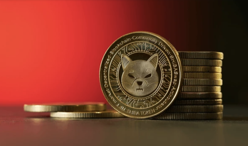 시바이누, 미결제 약정 9% 폭증…"하락 삼각형 뚫고 전고점 탈환 준비"