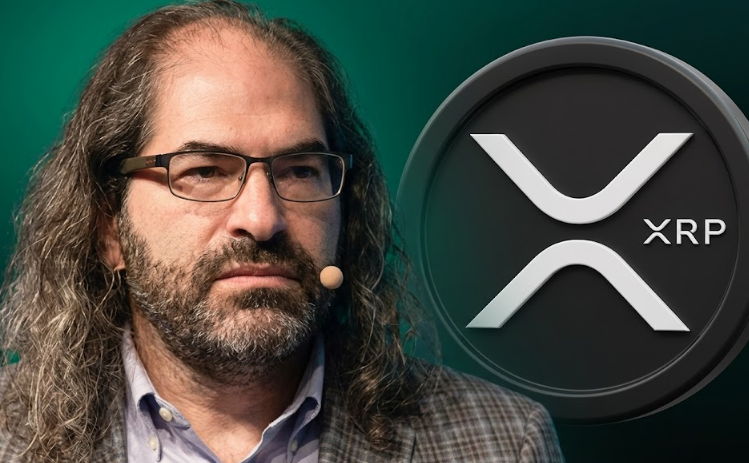 “XRP는 싸면 안 된다” 발언 재해명…슈워츠, 가격 전망 아닌 결제 구조 문제